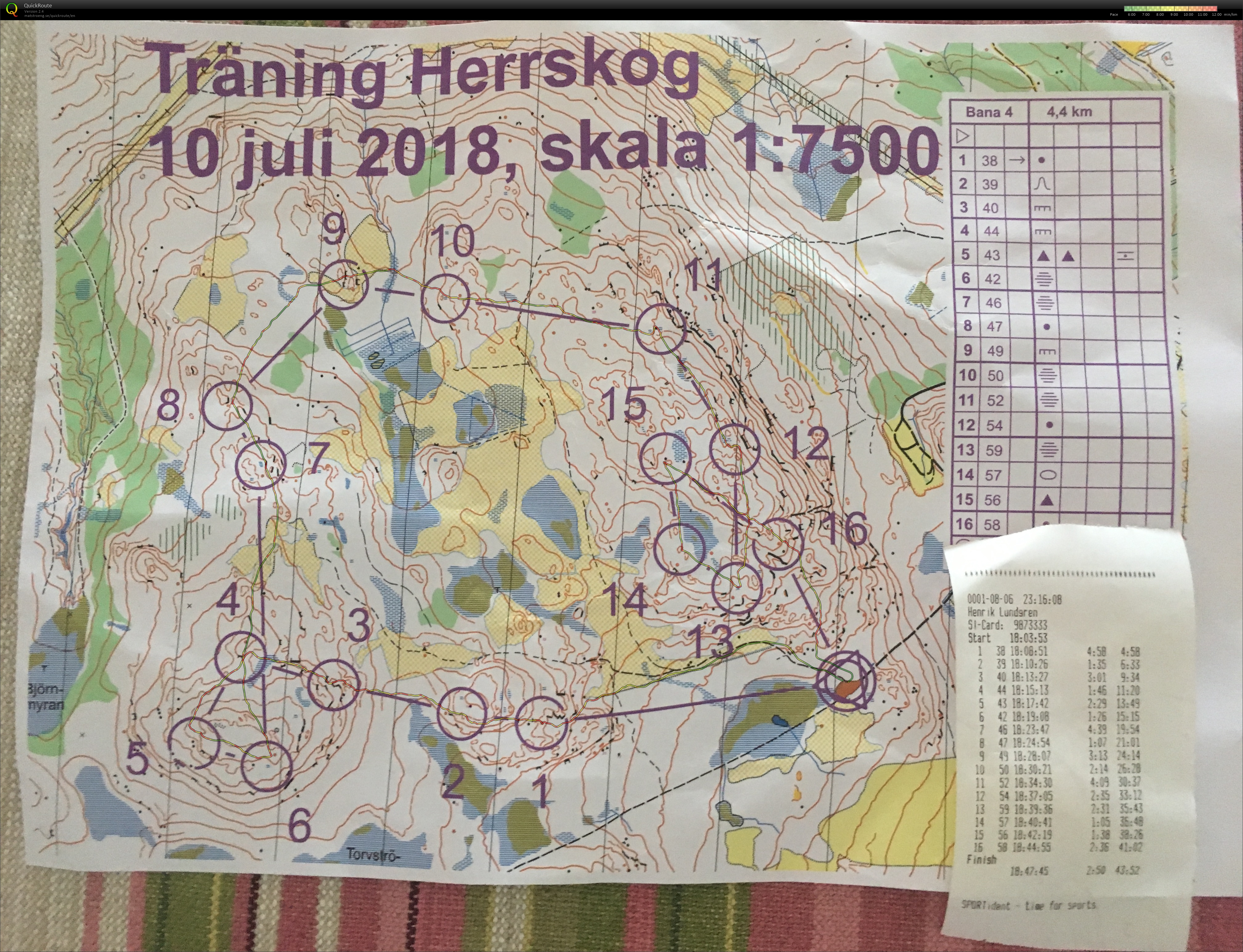 Träning Herrskog (10/07/2018)