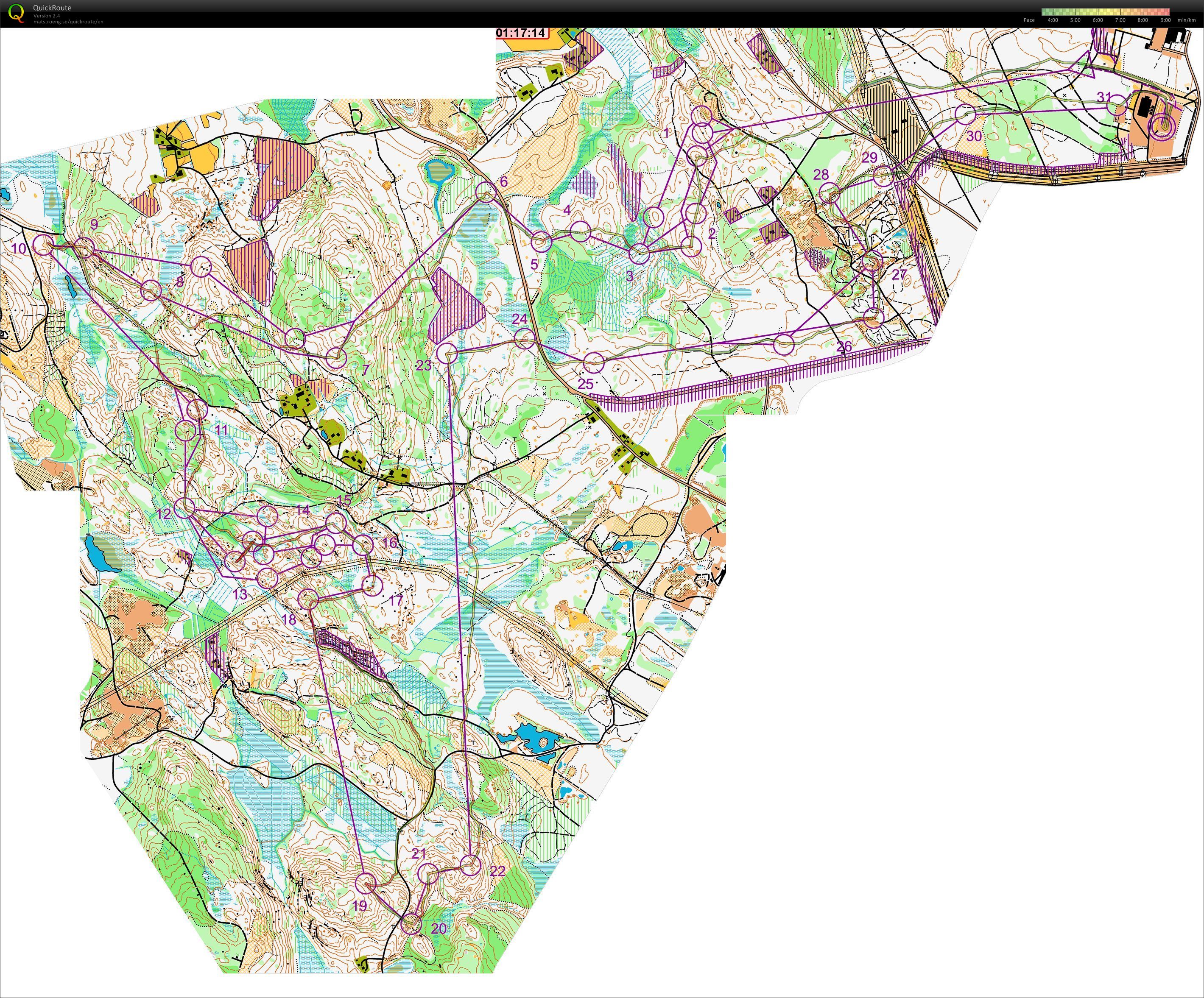 Jukola 2013 (2013-06-16)