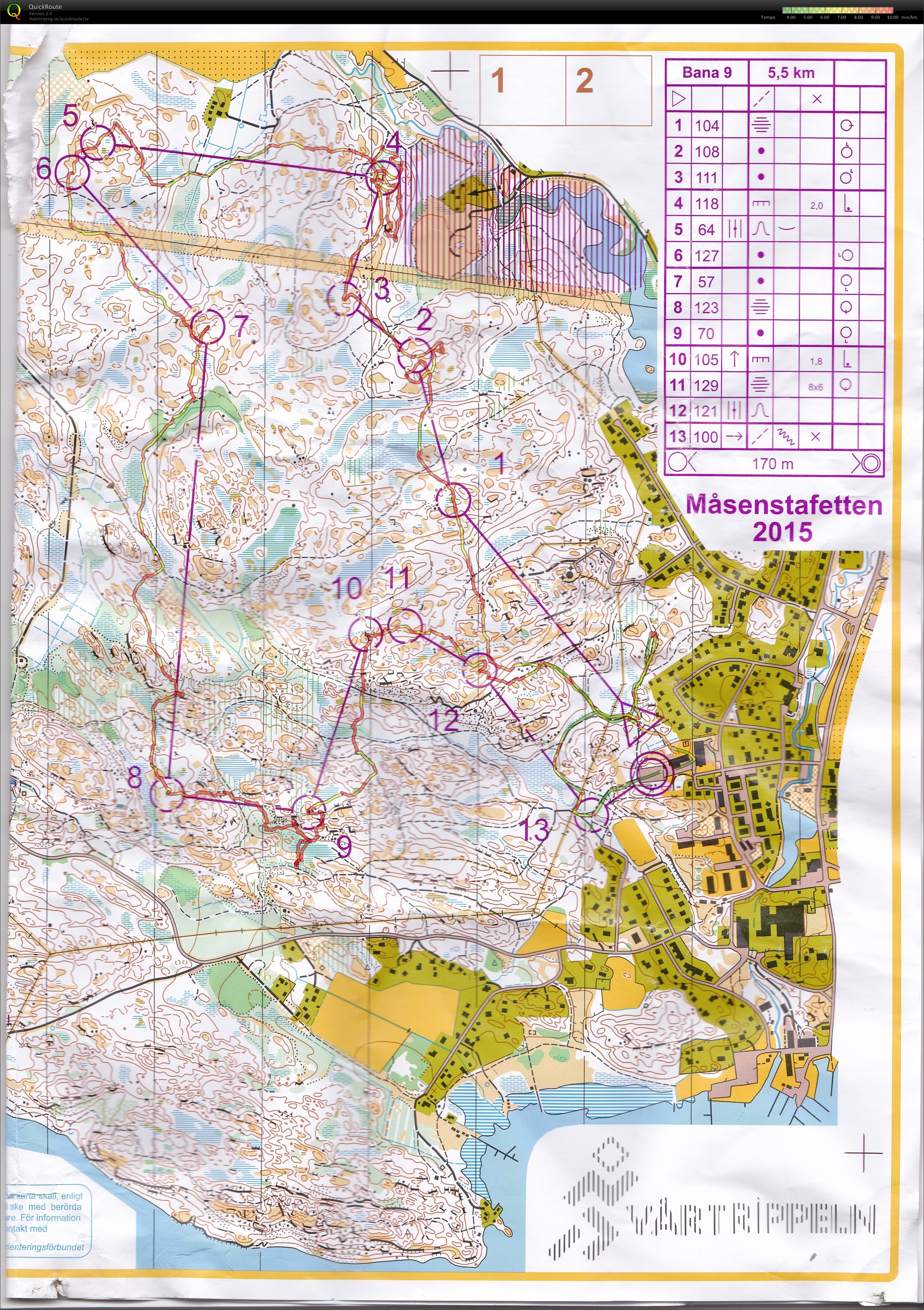 Måsenstafetten (2015-03-29)