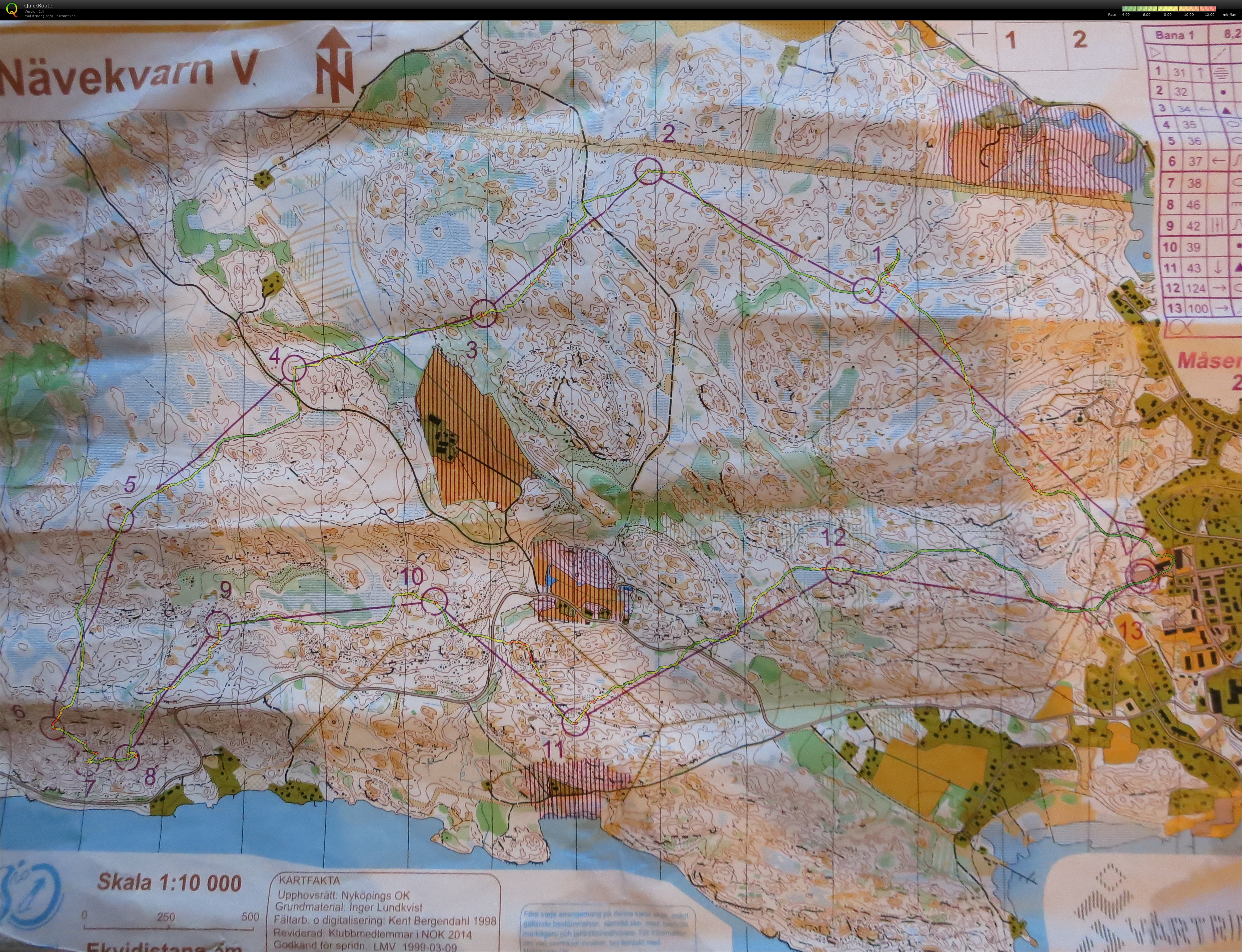 Måsenstafetten (29-03-2015)