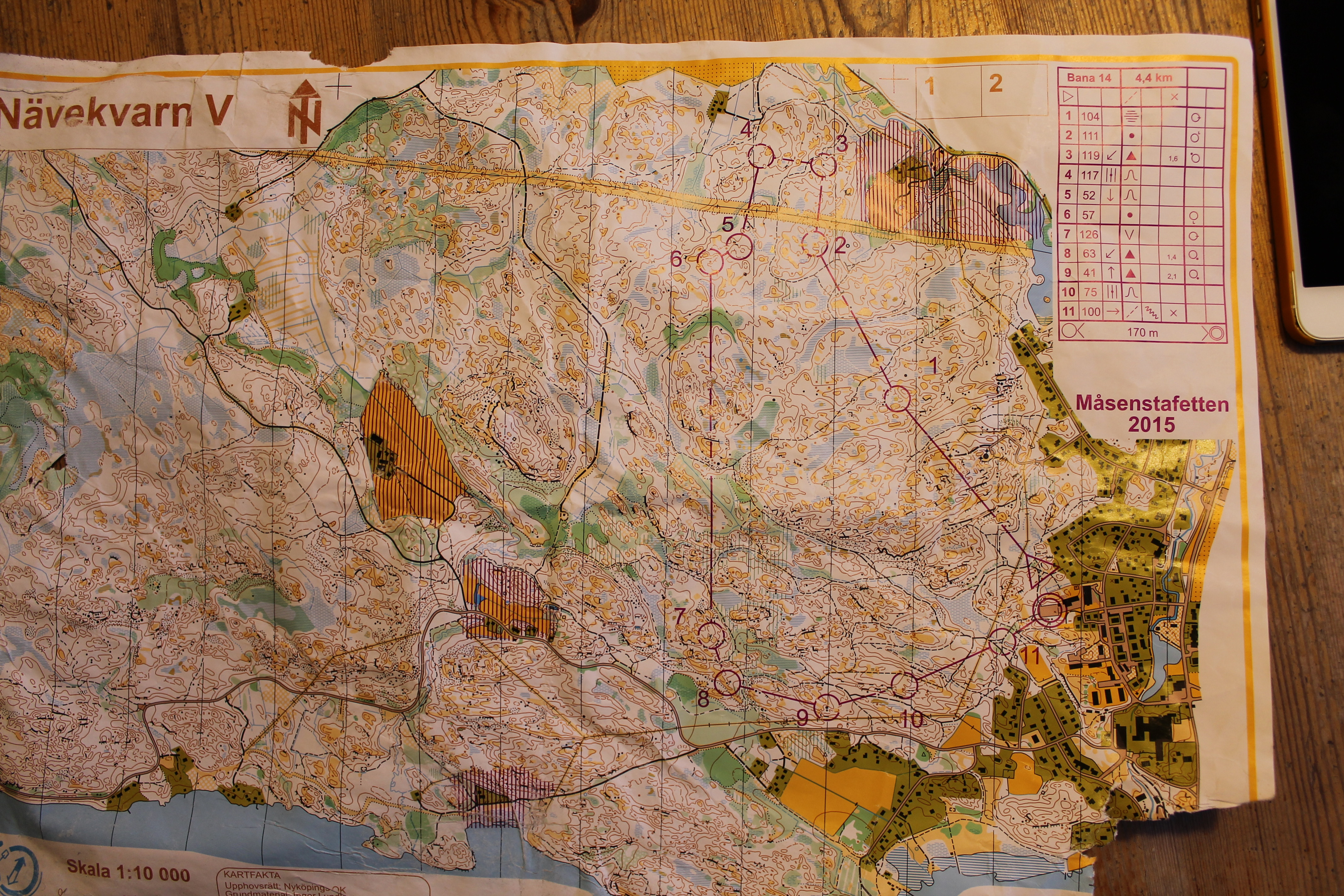 Måsenstafetten (2015-03-30)