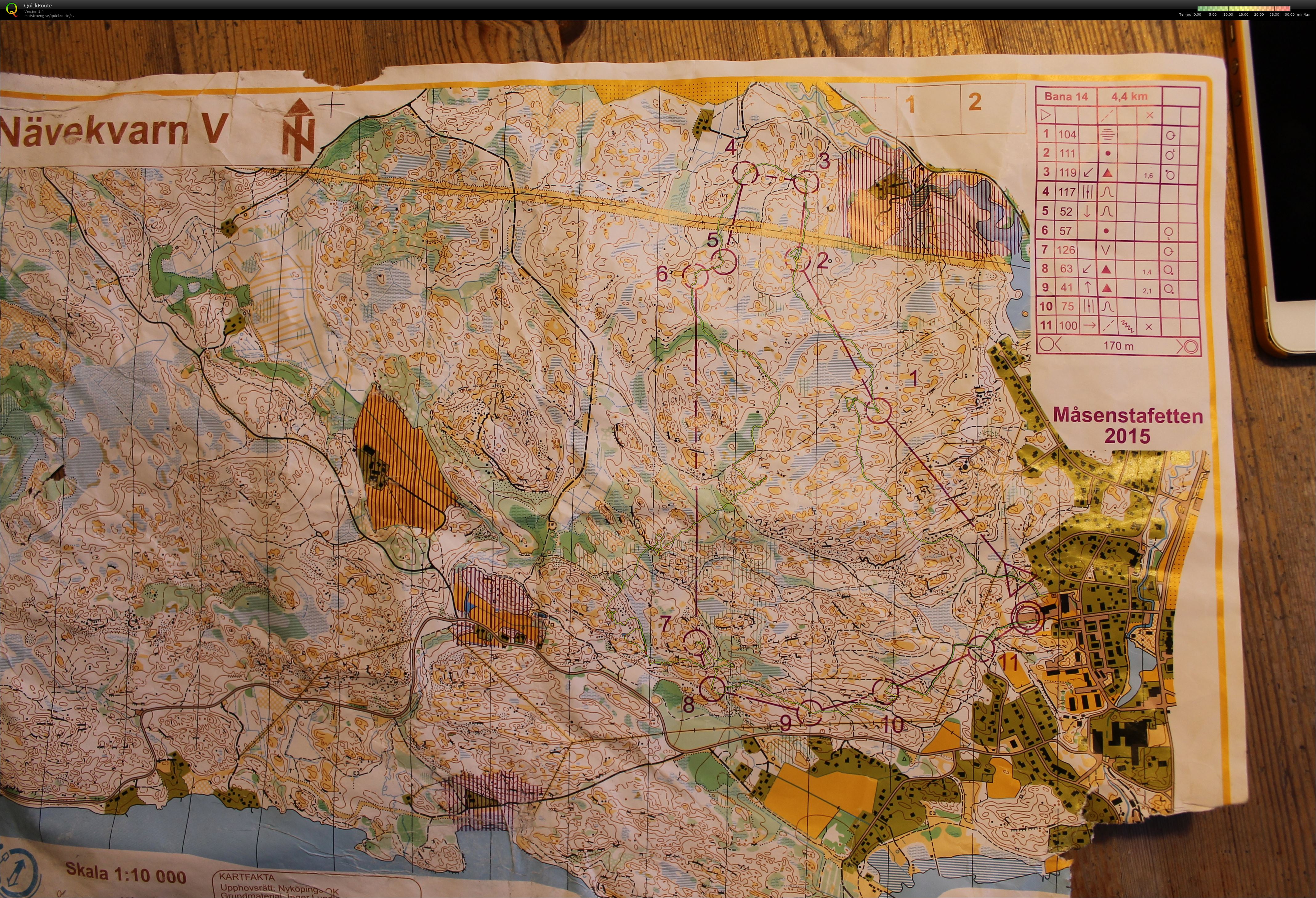 Måsenstafetten (2015-03-30)