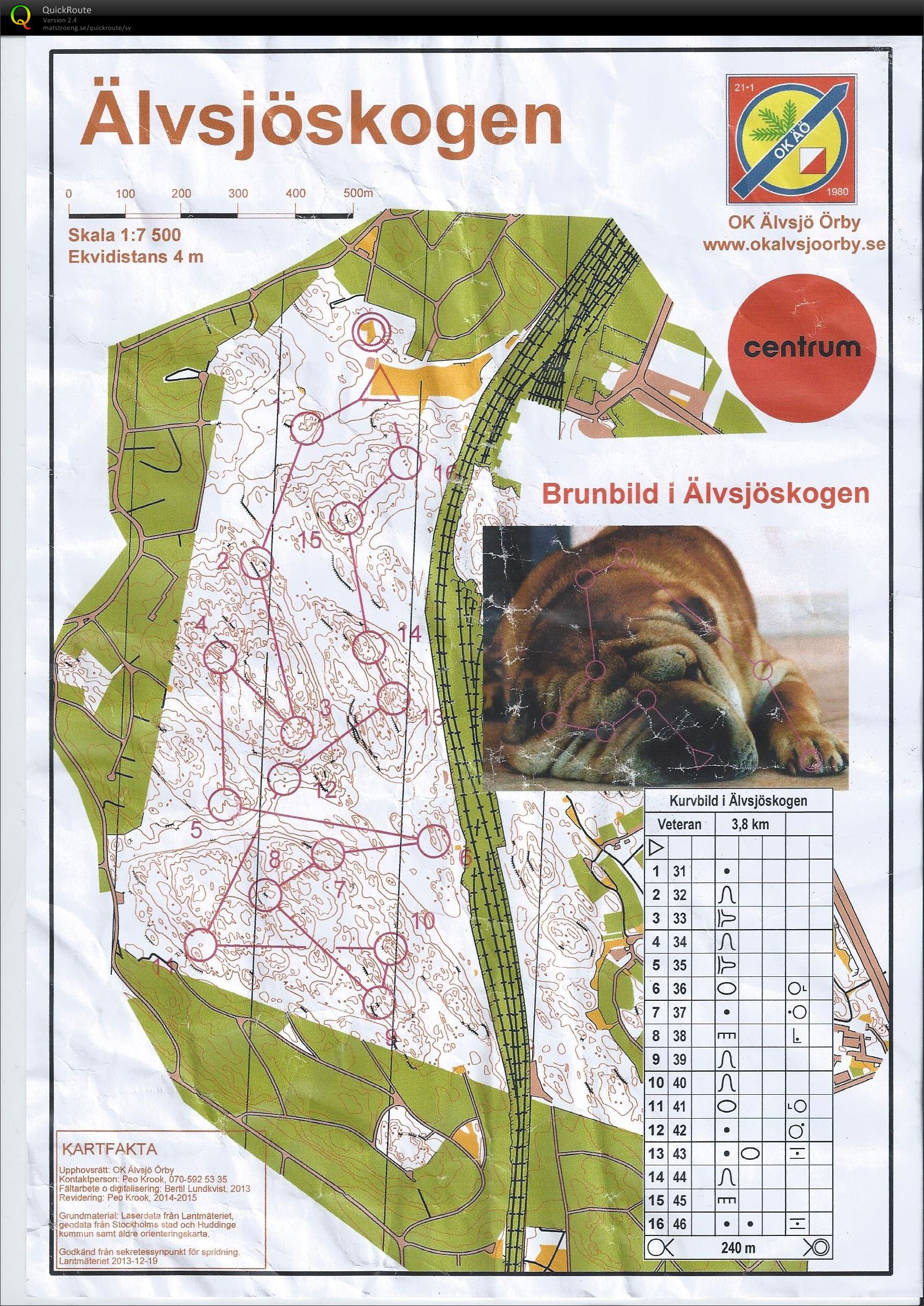 Brunbild i Älvsjöskogen (2015-05-07)