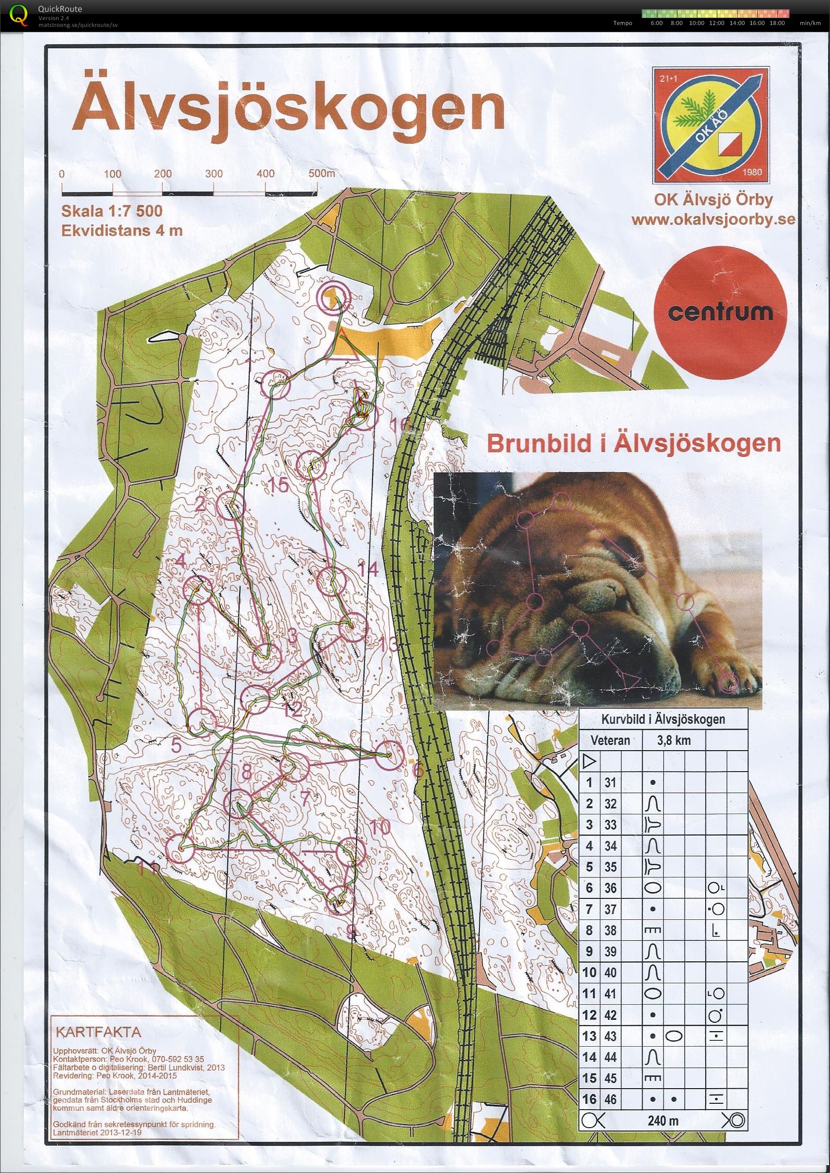 Brunbild i Älvsjöskogen (2015-05-07)