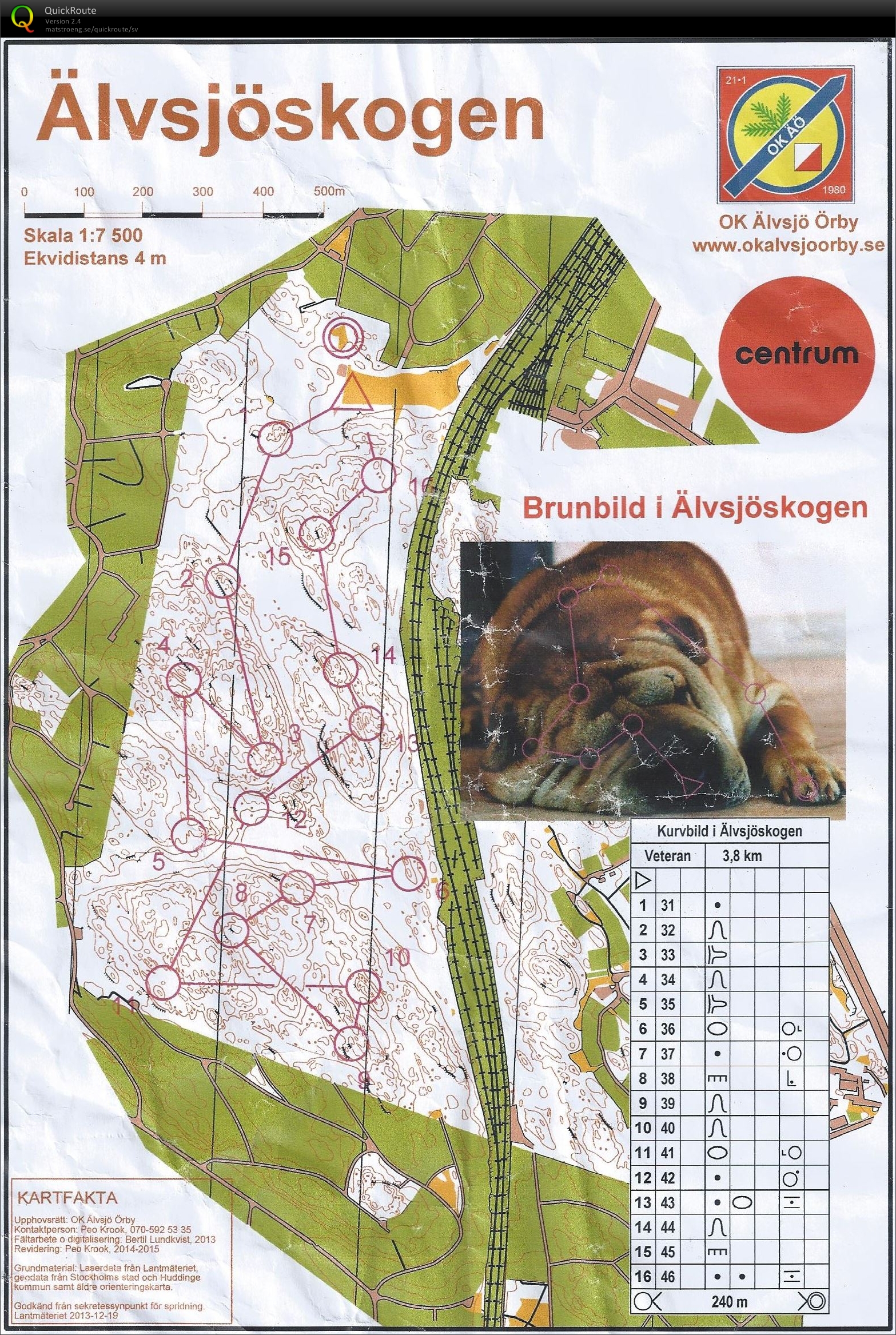 Brunbild i Älvsjöskogen (2015-05-07)