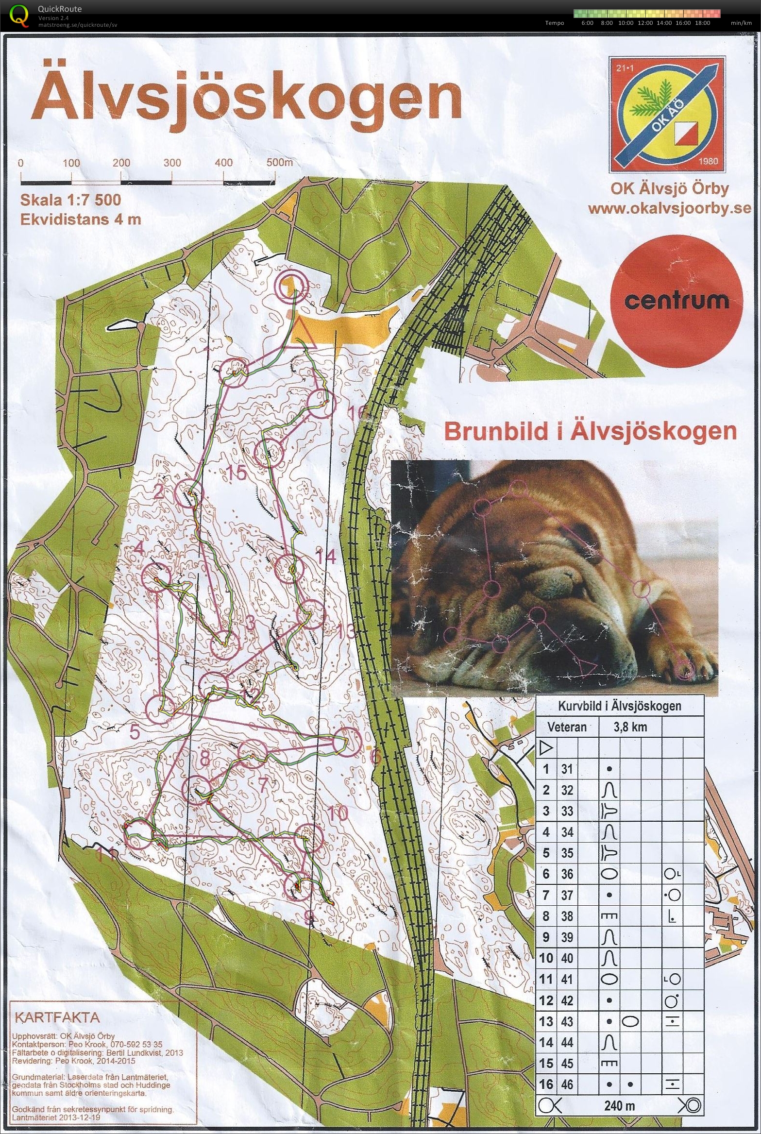 Brunbild i Älvsjöskogen (2015-05-07)