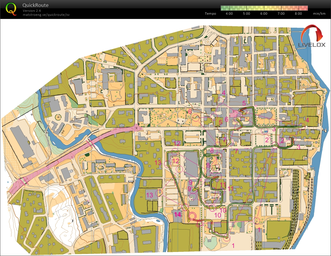 DM Sprintstafett Örebro (2018-06-10)