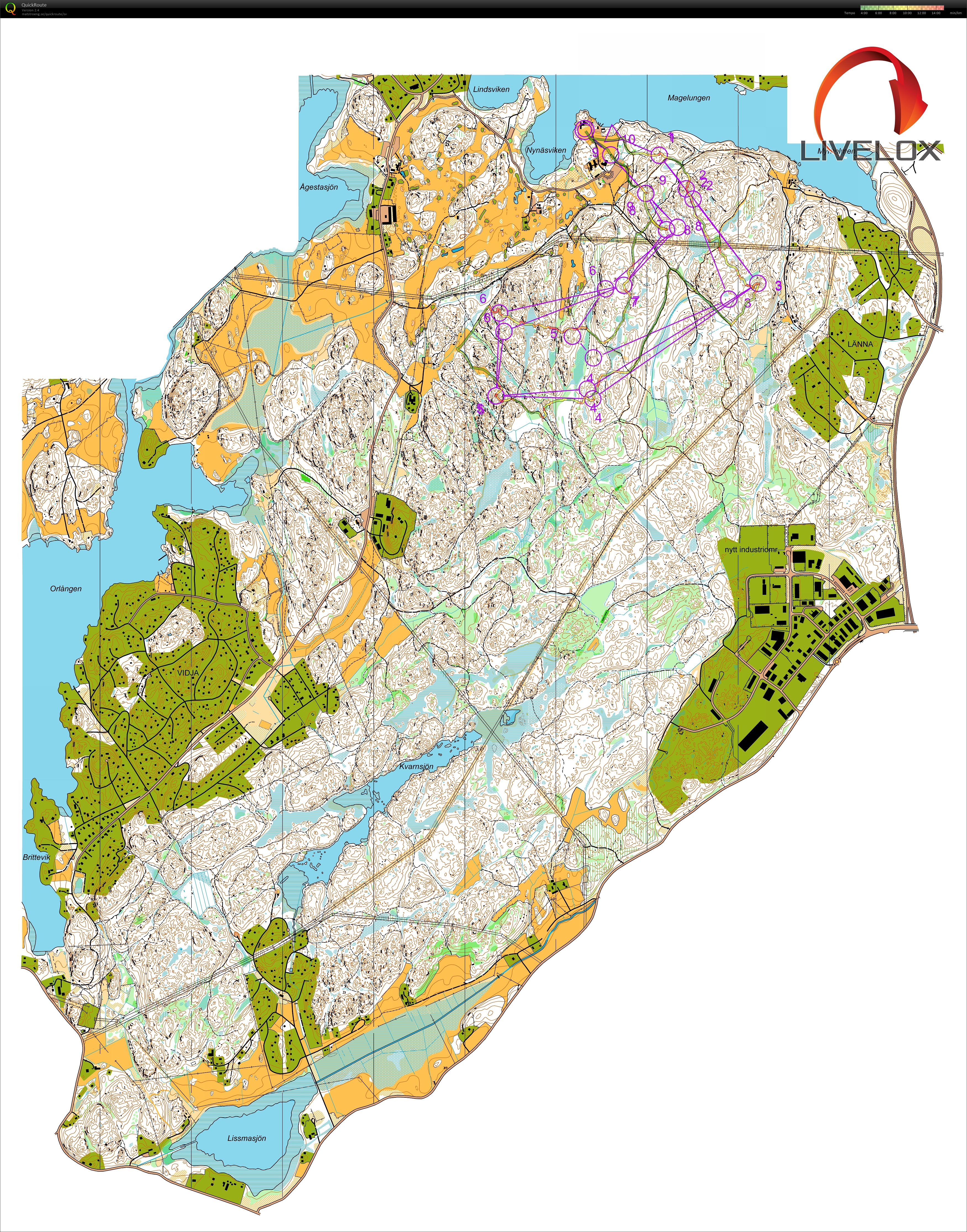 DM stafett Stockholm (2019-09-08)