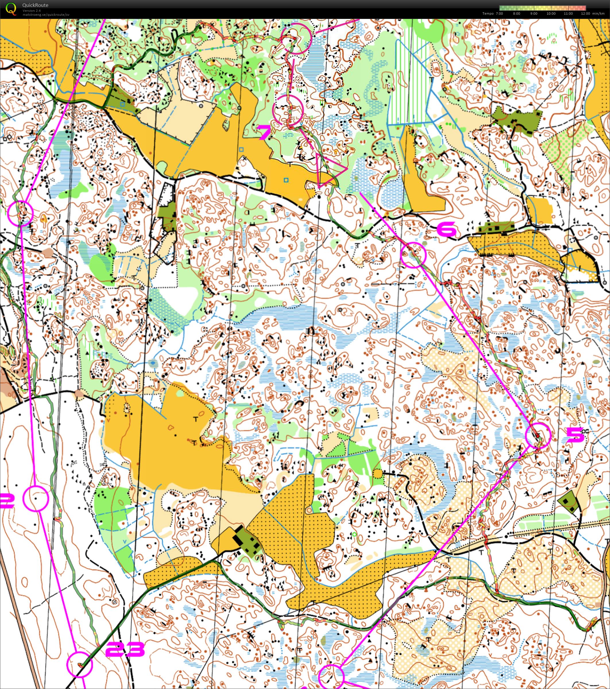 Uppländsk djungel (2020-06-29)