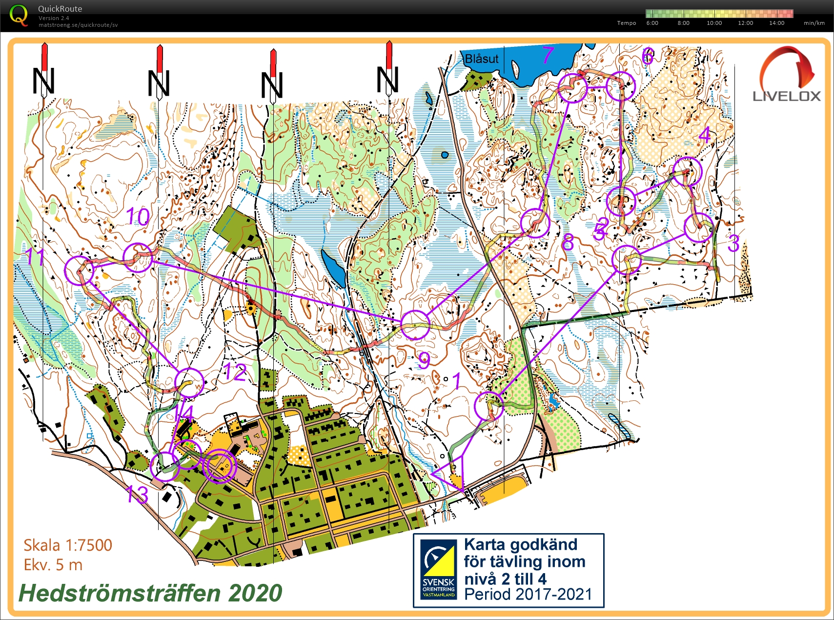 Hedströmsträffen (2020-08-23)