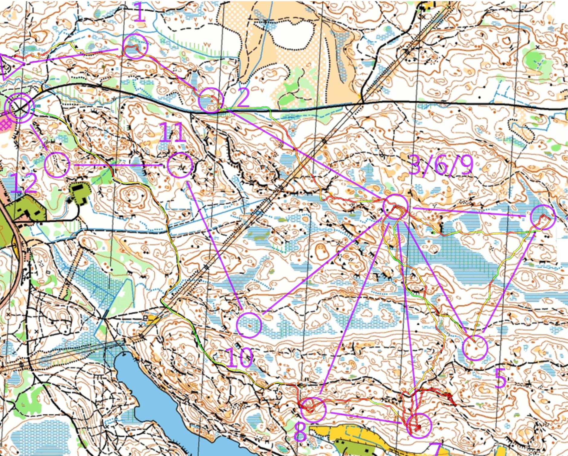 Ringrostig i regnet (2020-11-14)