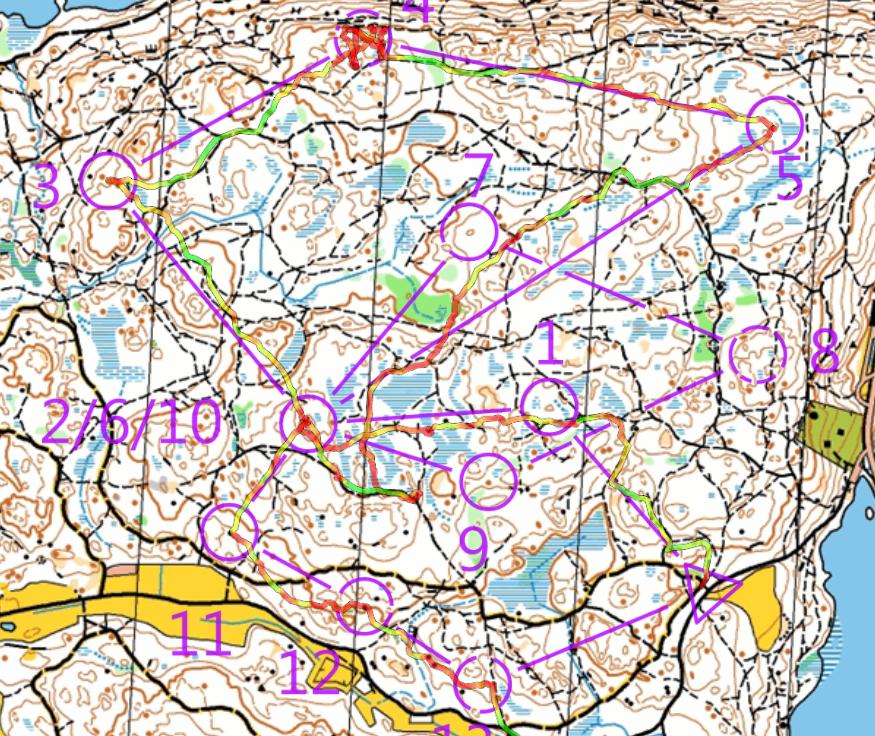 Snöpuls på veckans bana (2021-02-05)