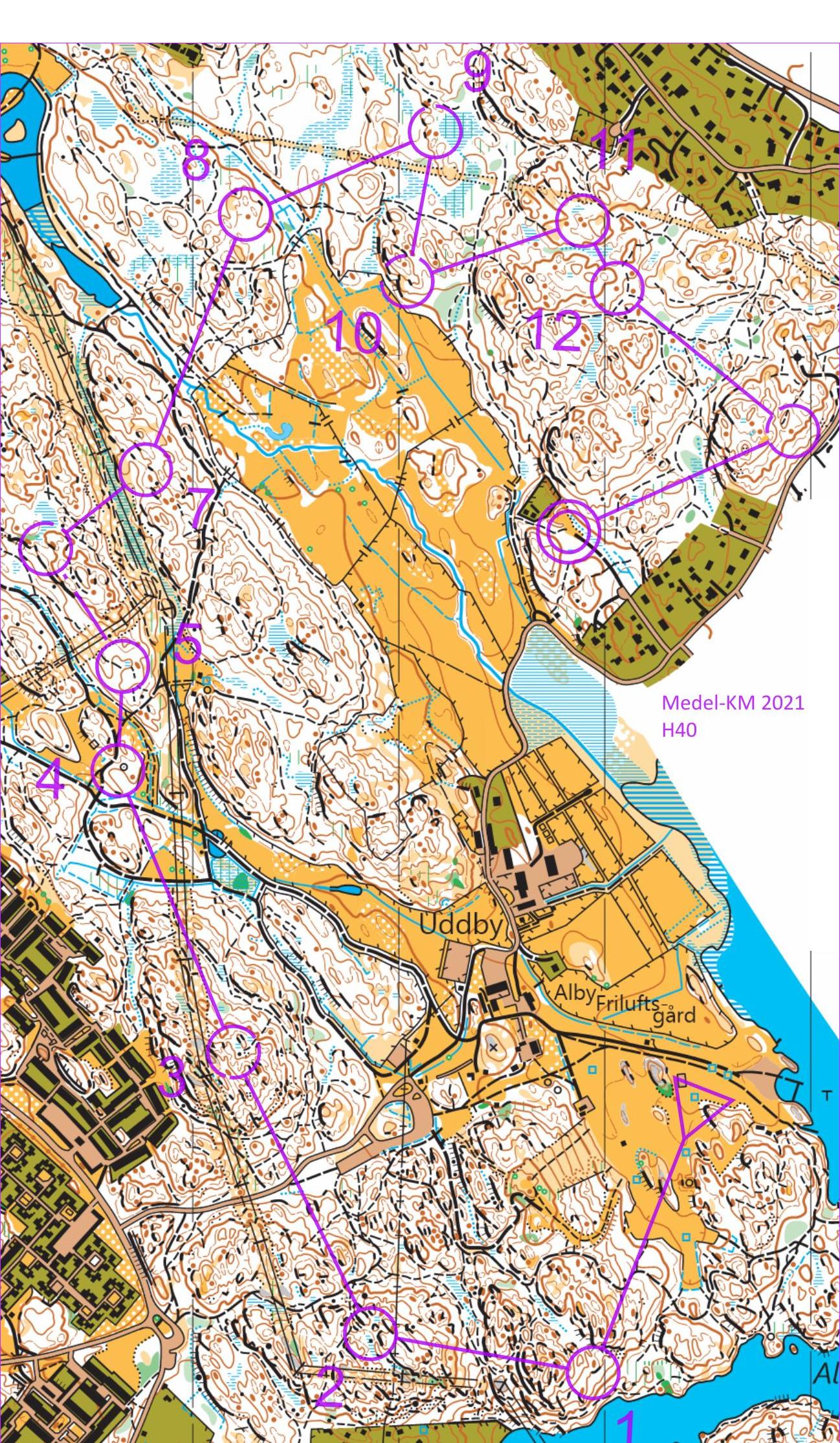 Medel-KM 2021 (2021-06-06)