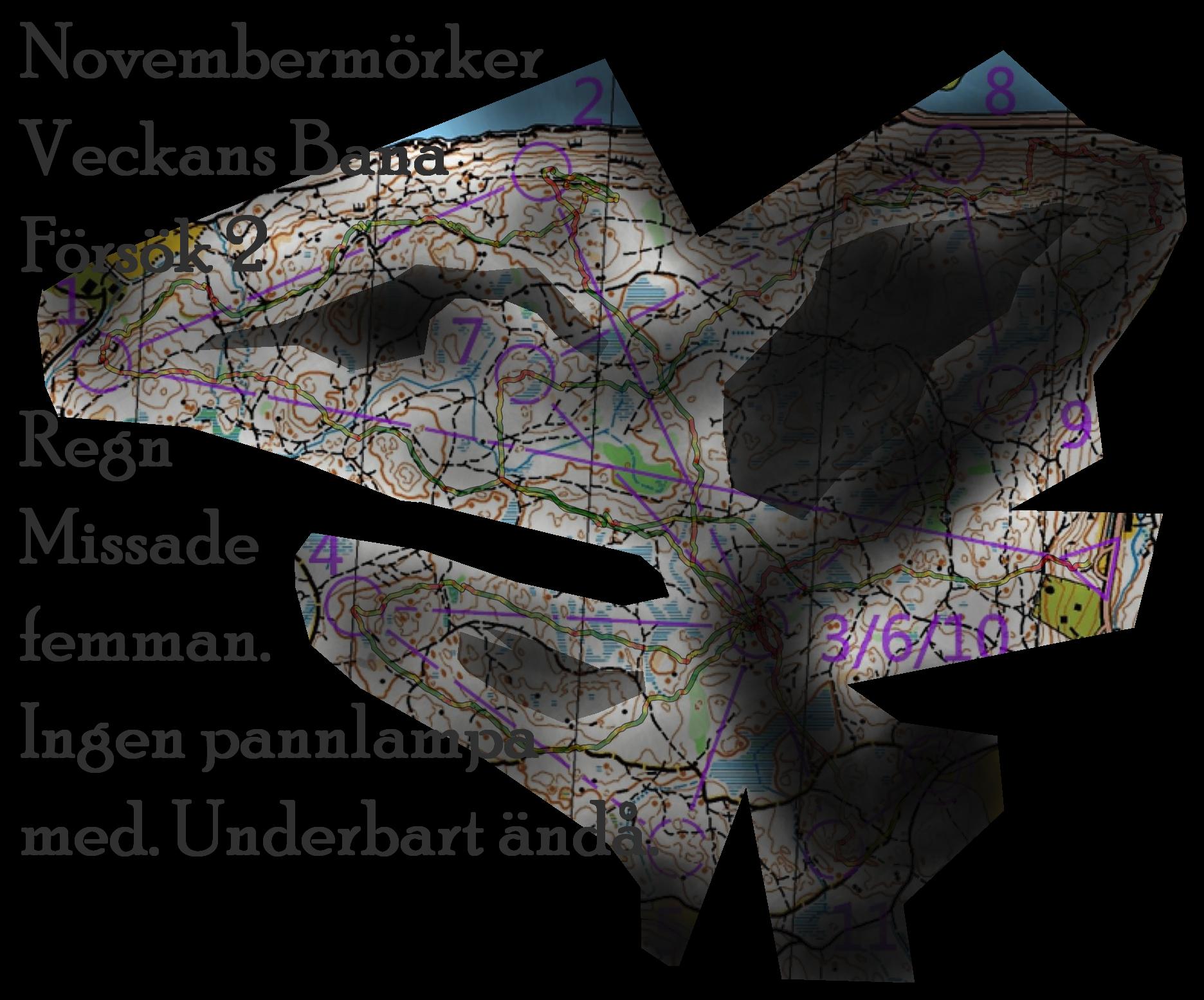 Novemberblötmörker (03-11-2021)