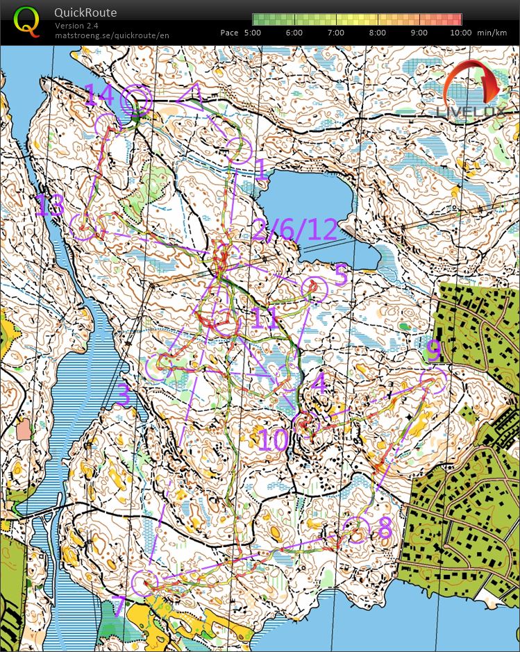 Rogaininguppladd på Veckans Bana (25-11-2021)