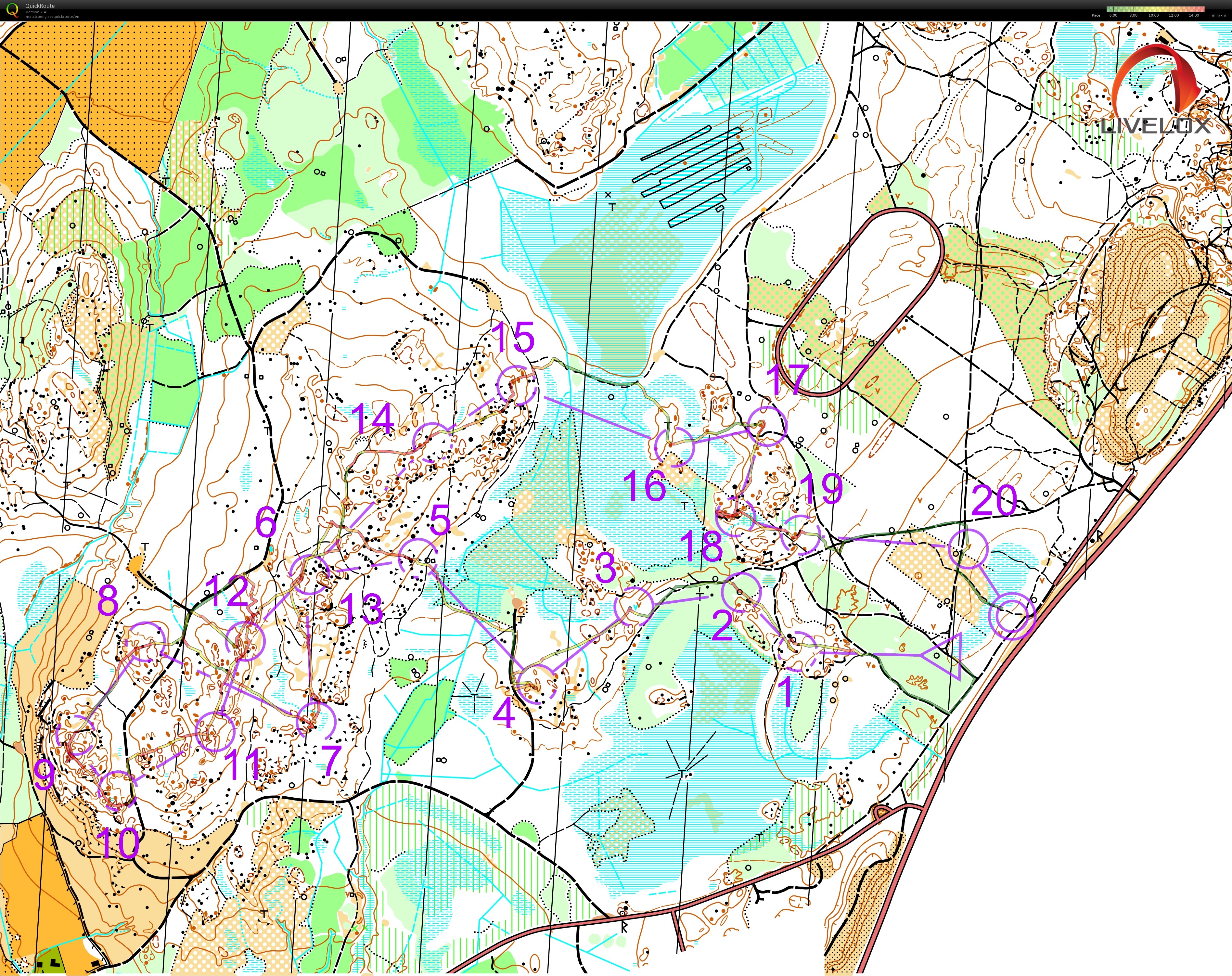 Tränings-OL, vecka 33 (2022-08-16)