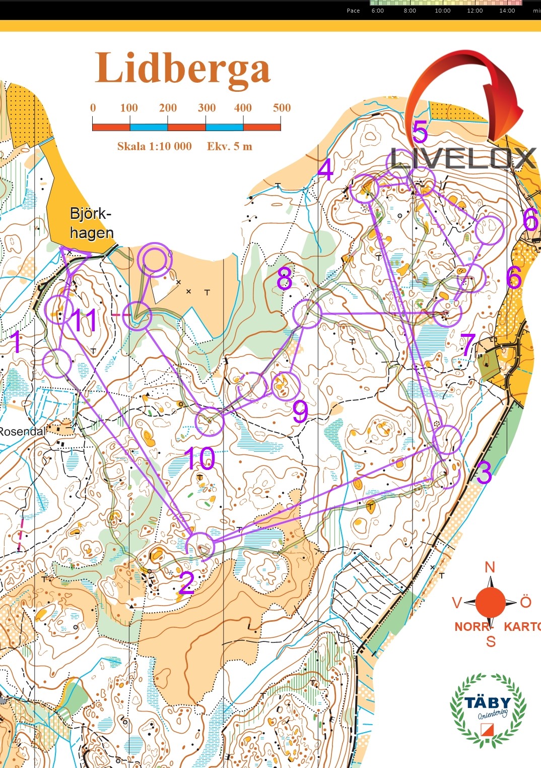 DM stafett (2022-09-04)