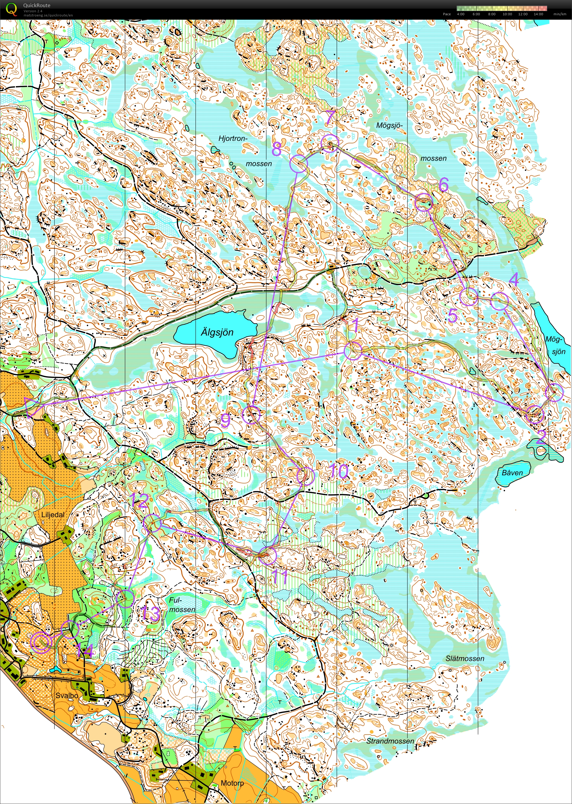 Torfejden lång c/o Swedish League (07/05/2023)