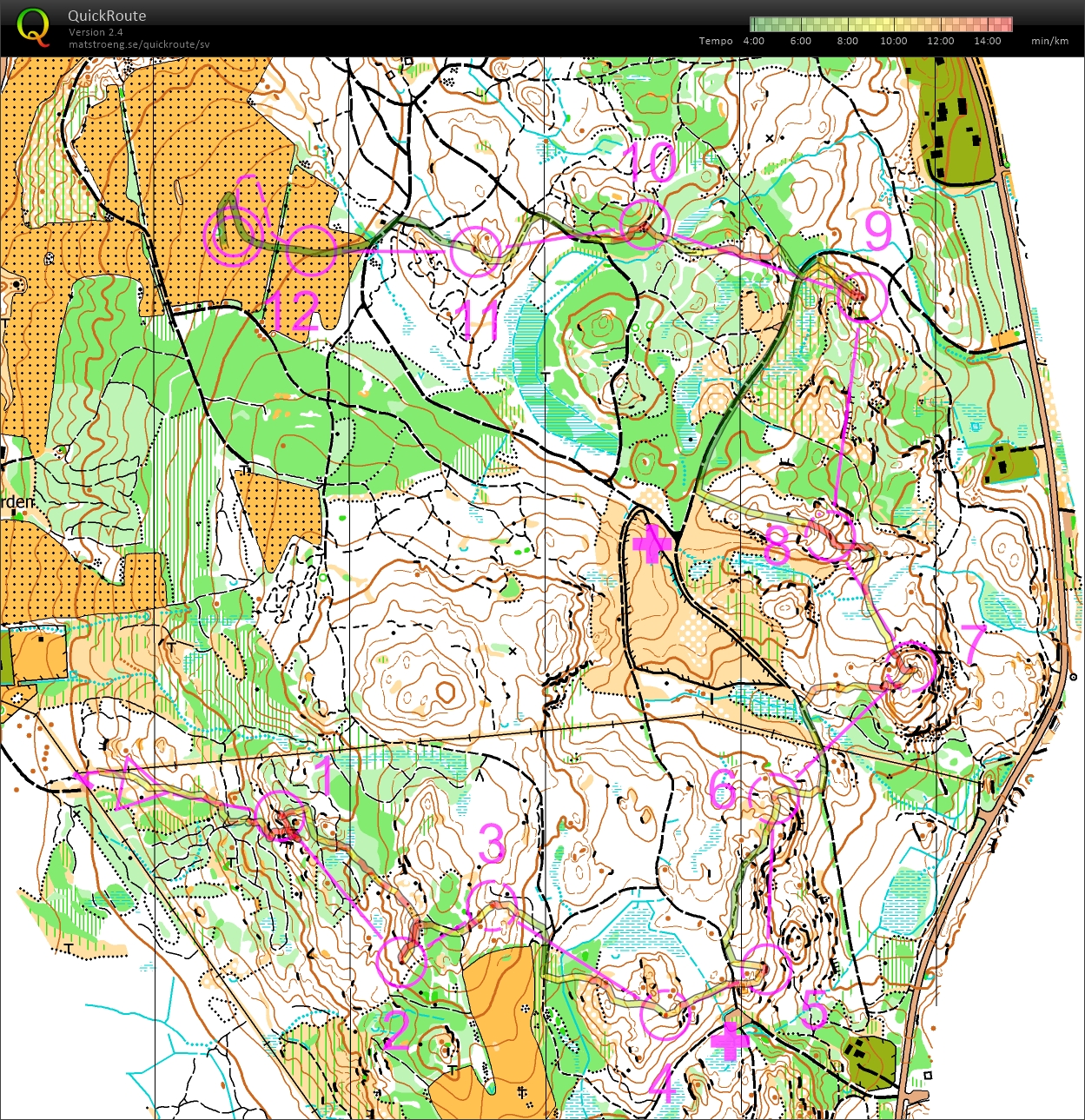 O-Ringen Jönköping E3 (24/07/2025)