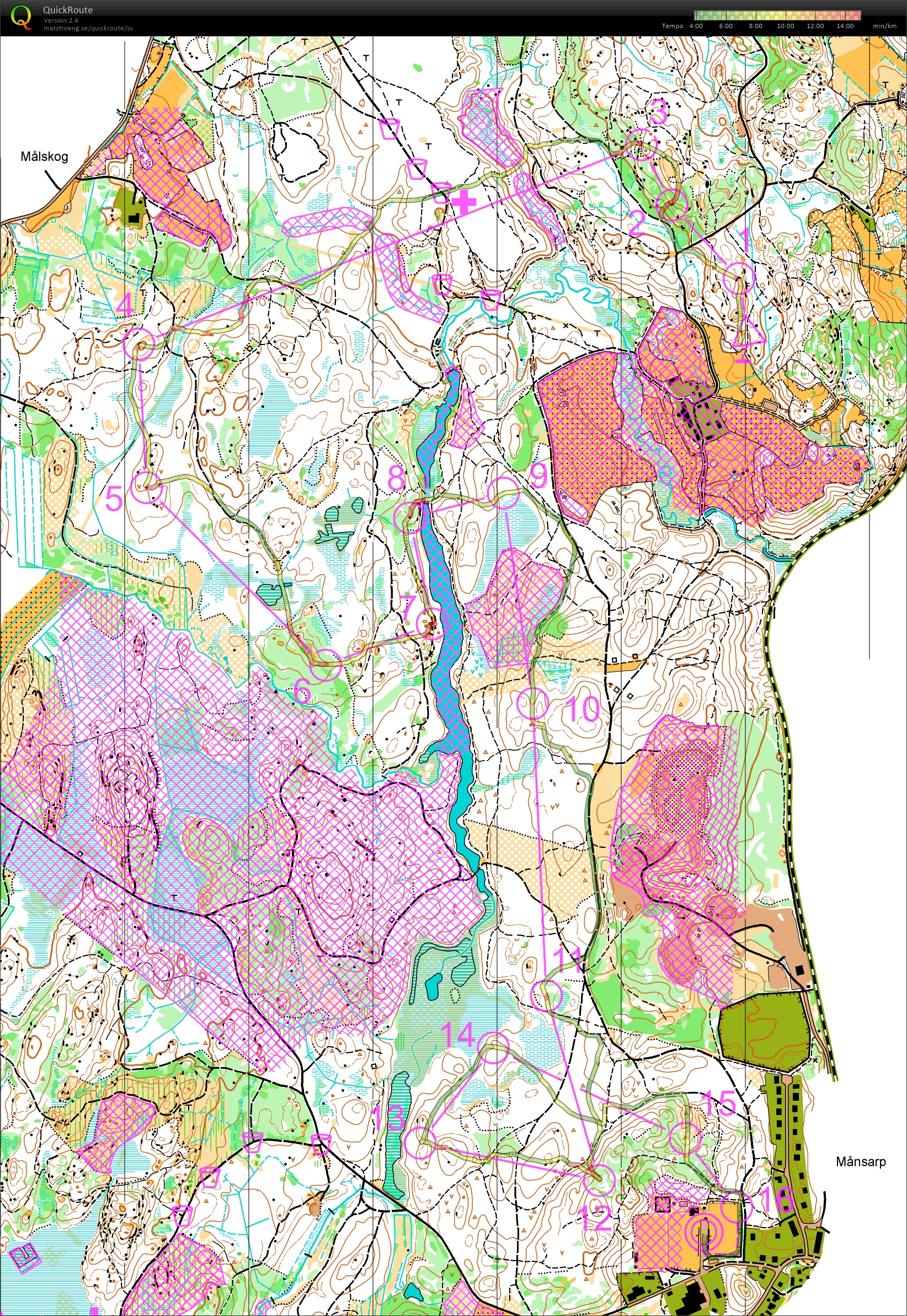 O-Ringen Jönköping E5 (26.07.2025)