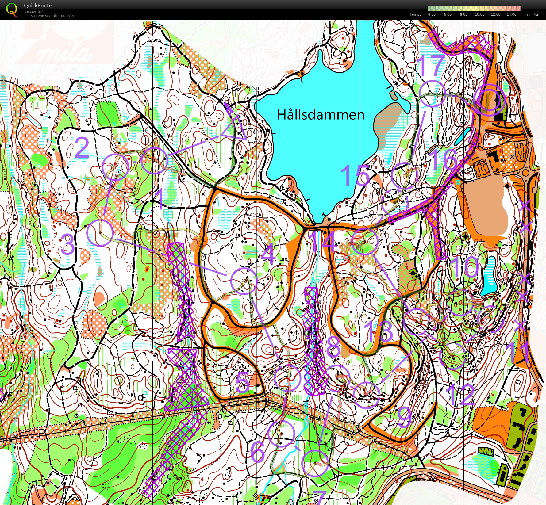 Billingemedeln dag 1 (2025-08-02)