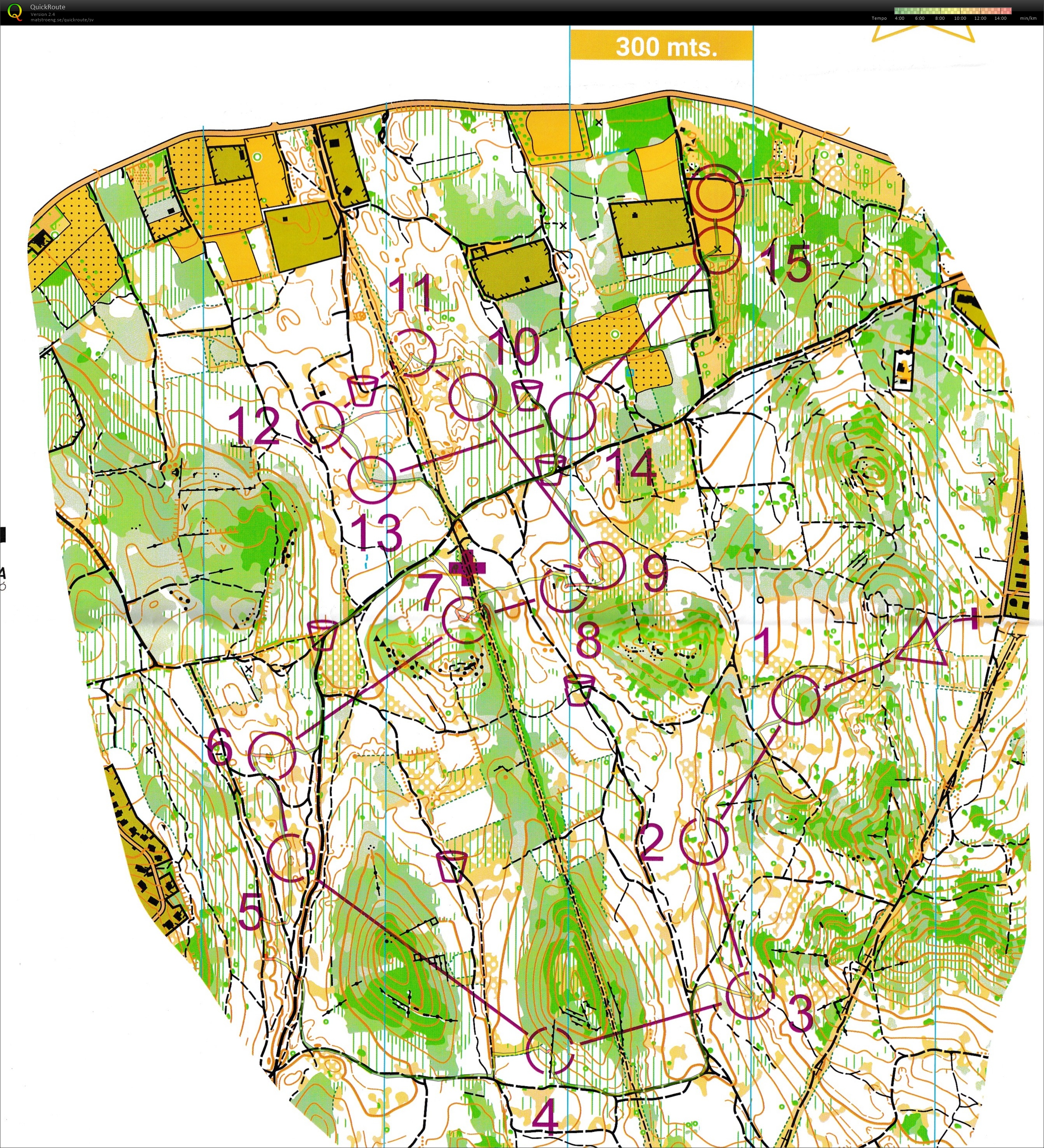 WMOC Middle Final (2025-08-13)