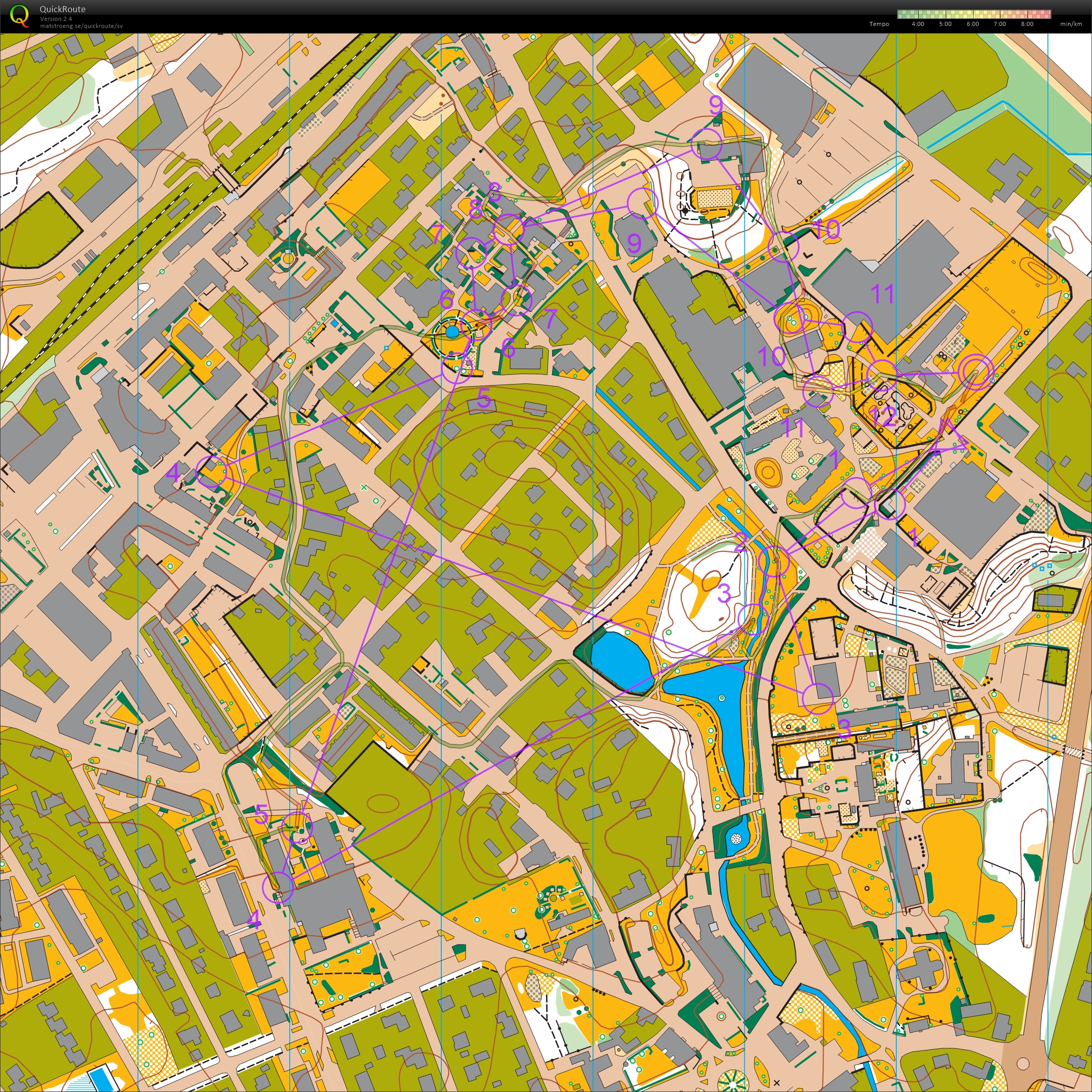 DM Sprintstafett Skåne (2026-05-31)