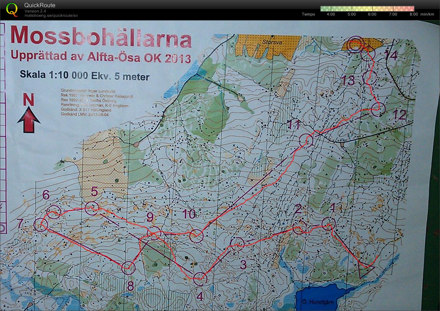 ÖSA-träffen 2013 dag 3, medel (2013-06-08)