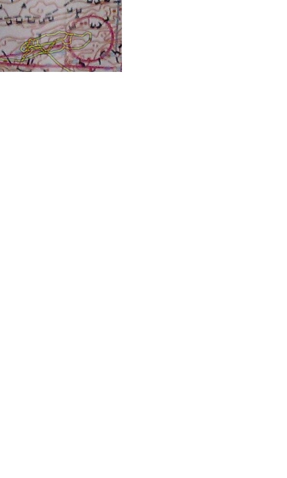 vilse (2012-01-11)